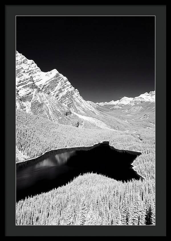 Majestic View Of Peyto Lake