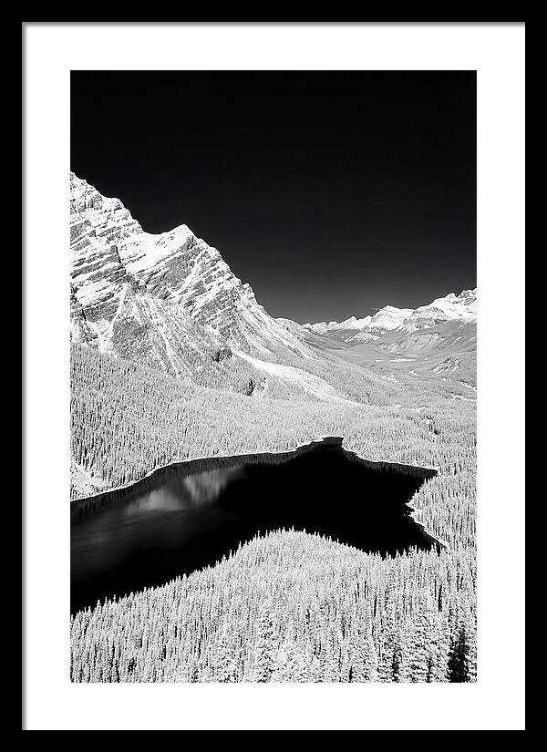 Majestic View Of Peyto Lake