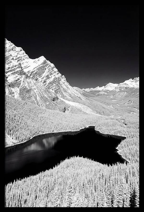 Majestic View Of Peyto Lake
