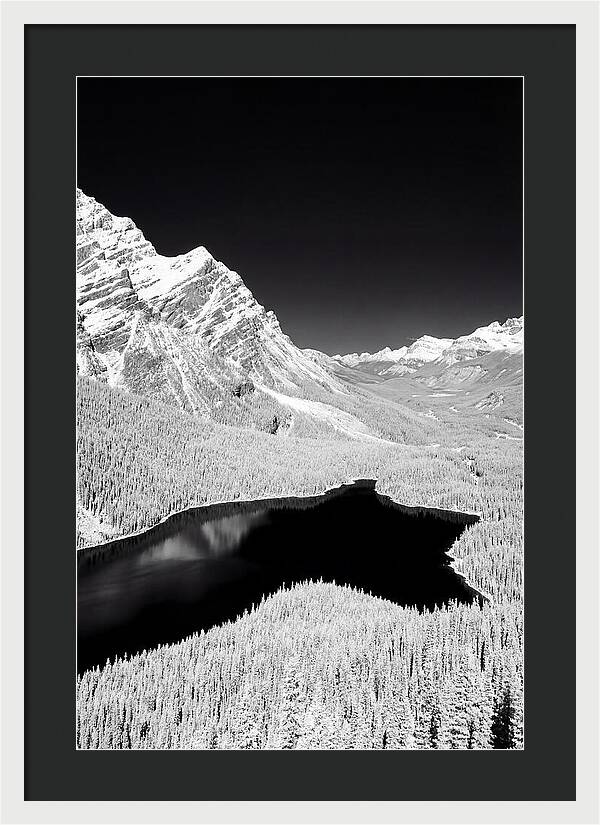 Majestic View Of Peyto Lake