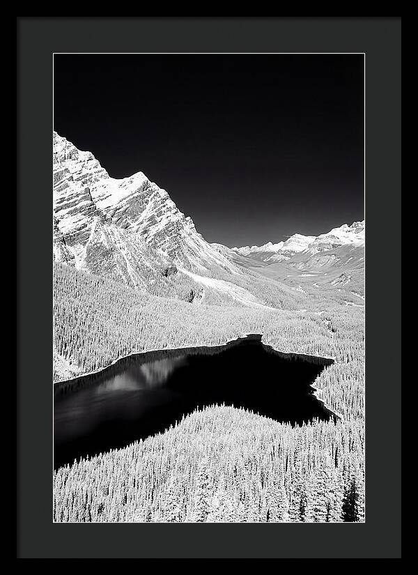 Majestic View Of Peyto Lake