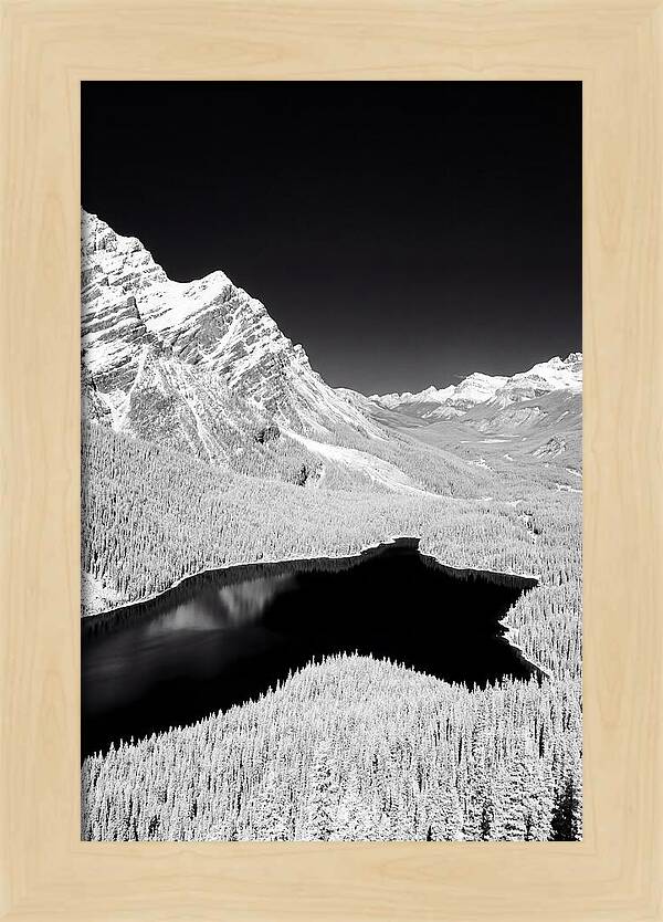Majestic View Of Peyto Lake