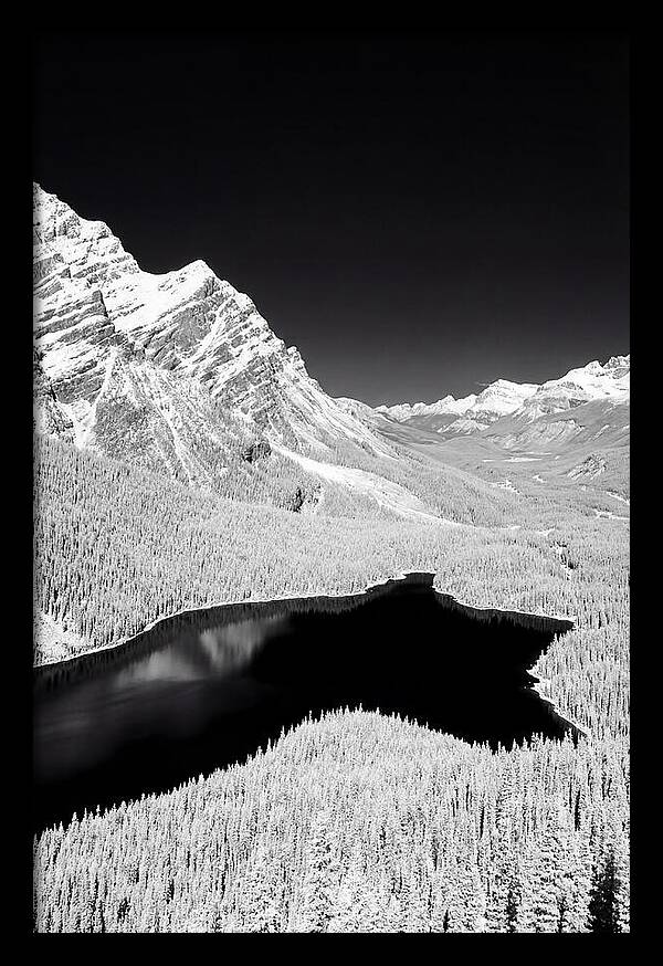 Majestic View Of Peyto Lake