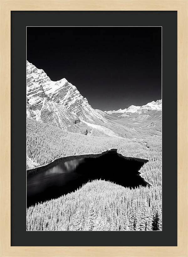 Majestic View Of Peyto Lake