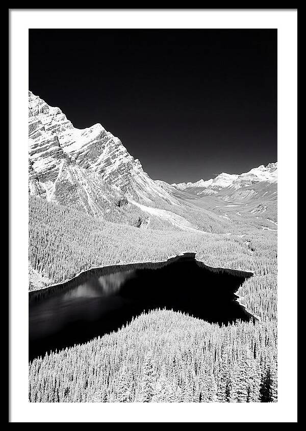 Majestic View Of Peyto Lake