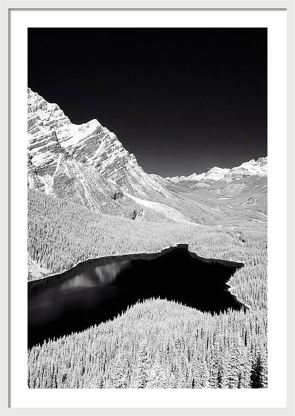 Majestic View Of Peyto Lake