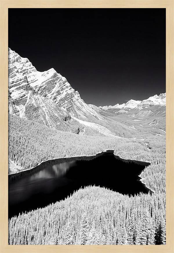 Majestic View Of Peyto Lake