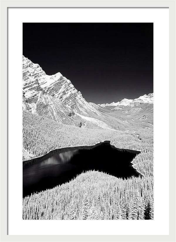 Majestic View Of Peyto Lake