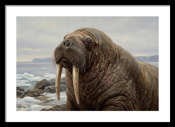 Majestic Walrus Portrait