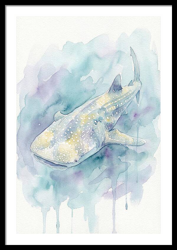 Majestic Whale Shark