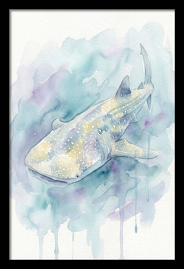 Majestic Whale Shark