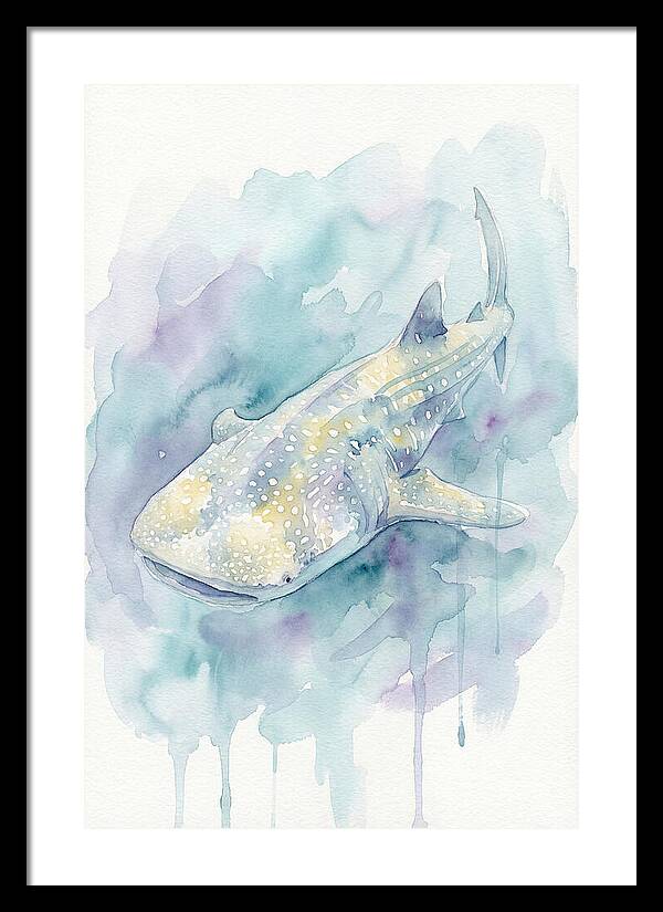 Majestic Whale Shark