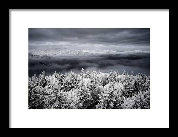 Majestic Winter Landscape
