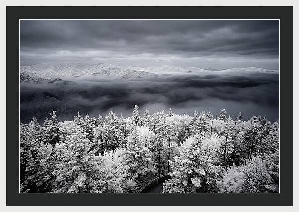 Majestic Winter Landscape