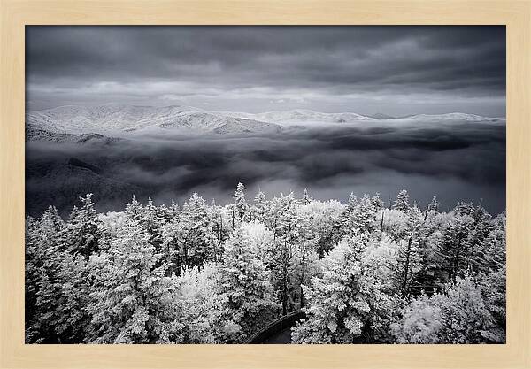 Majestic Winter Landscape