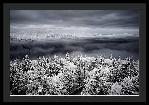 Majestic Winter Landscape