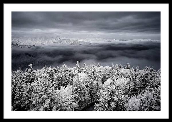 Majestic Winter Landscape