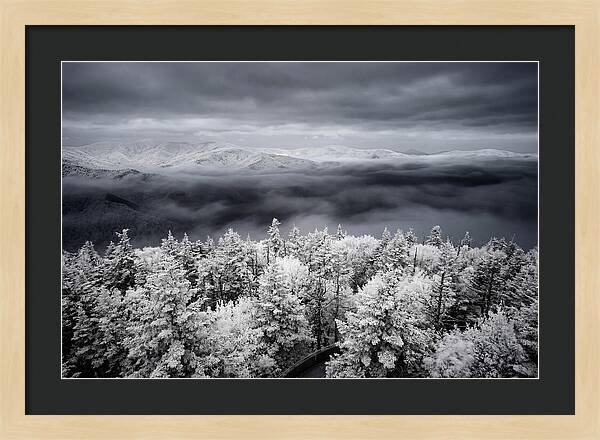 Majestic Winter Landscape