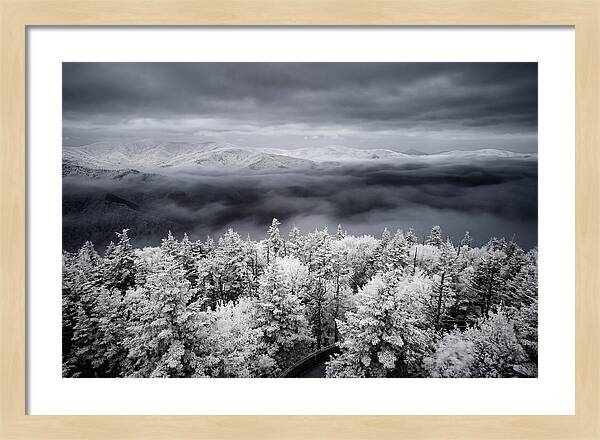 Majestic Winter Landscape