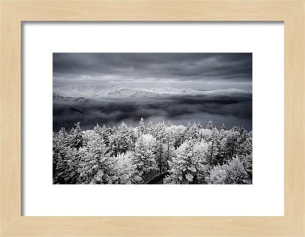 Majestic Winter Landscape