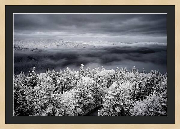 Majestic Winter Landscape