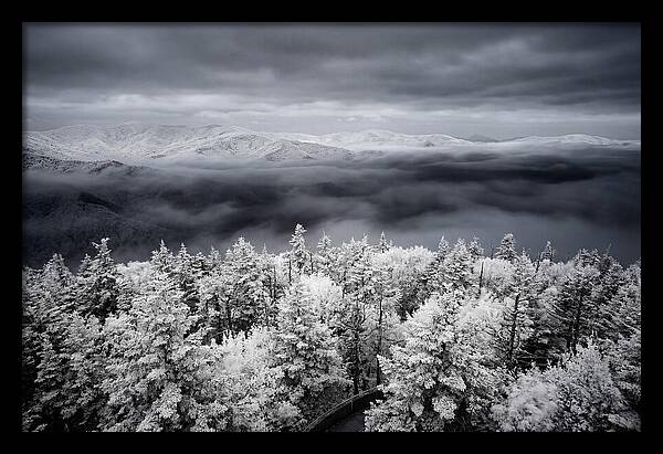 Majestic Winter Landscape
