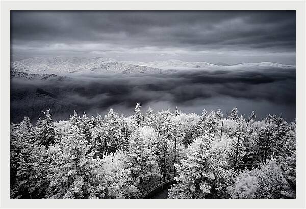 Majestic Winter Landscape