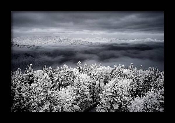 Majestic Winter Landscape