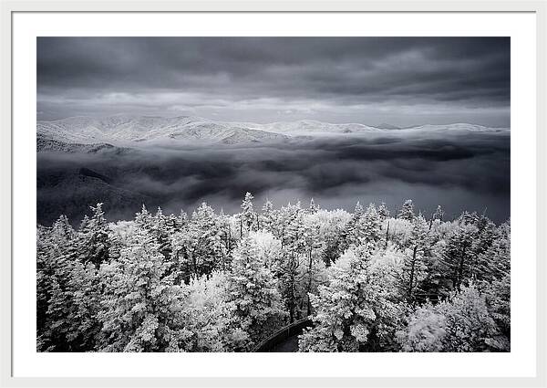 Majestic Winter Landscape