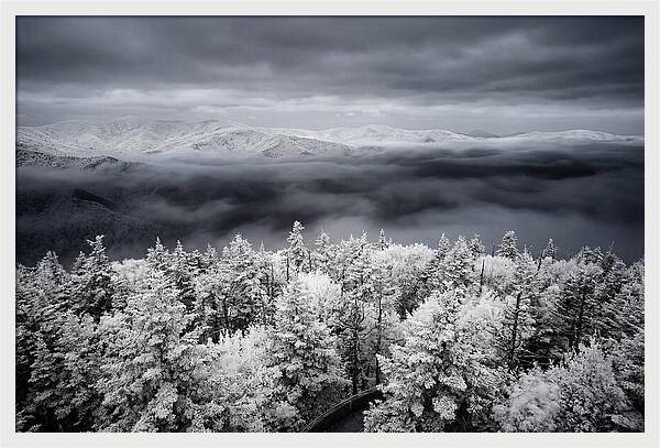 Majestic Winter Landscape