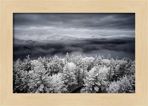 Majestic Winter Landscape