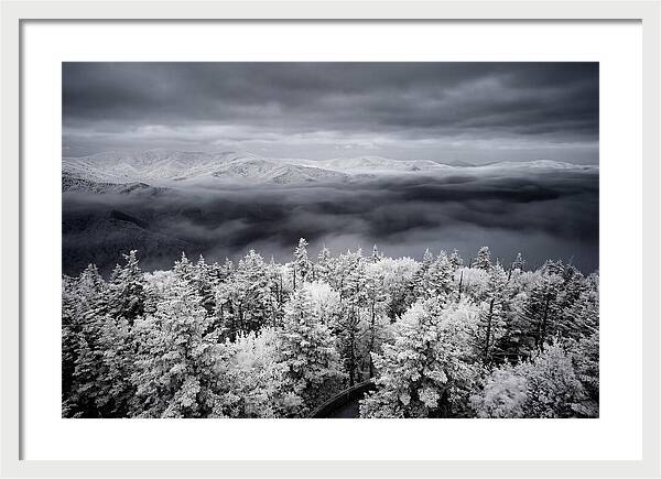Majestic Winter Landscape