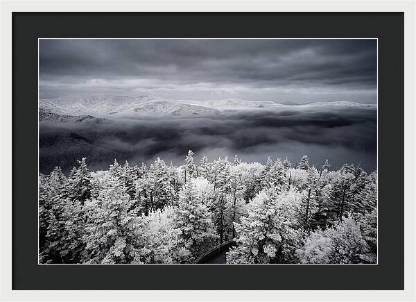 Majestic Winter Landscape