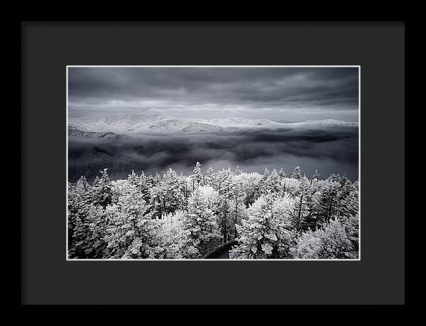 Majestic Winter Landscape