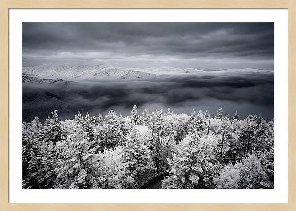 Majestic Winter Landscape