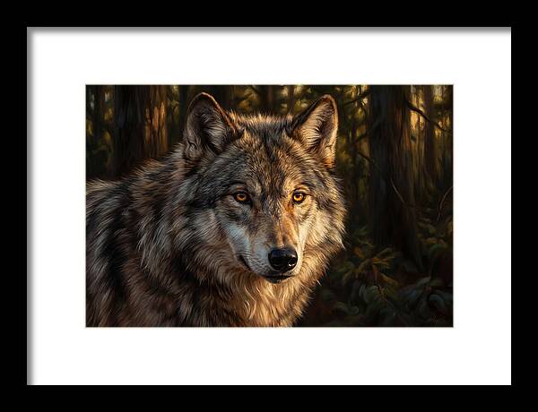 Majestic Wolf In Forest