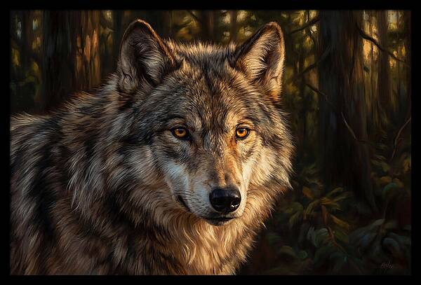 Majestic Wolf In Forest