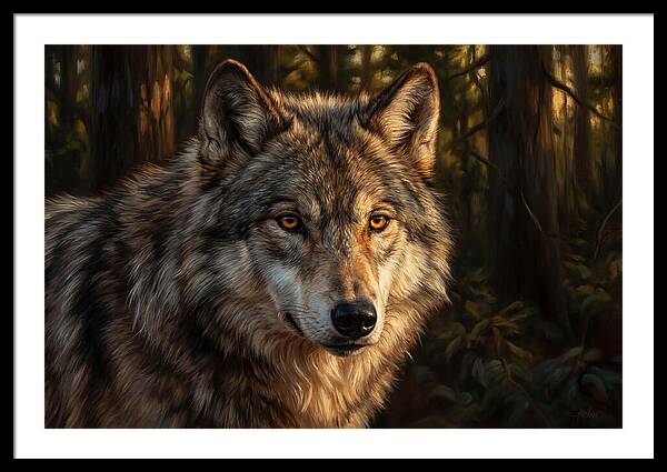 Majestic Wolf In Forest