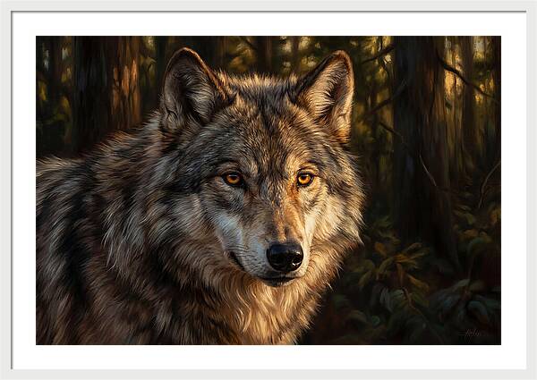 Majestic Wolf In Forest