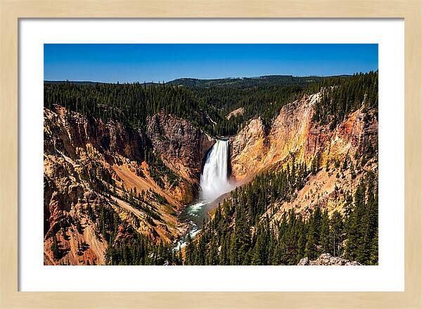 Majestic Yellowstone Lower Falls