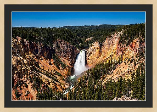 Majestic Yellowstone Lower Falls