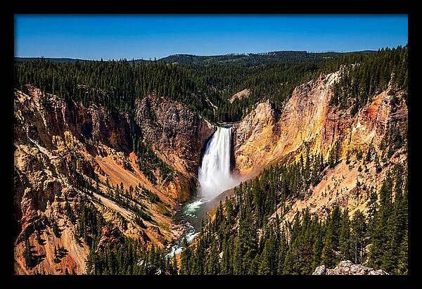 Majestic Yellowstone Lower Falls