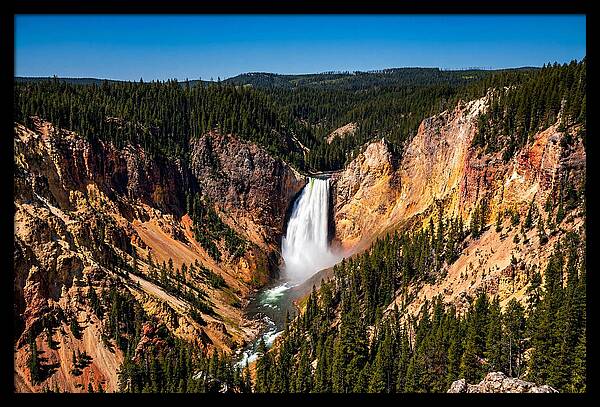 Majestic Yellowstone Lower Falls