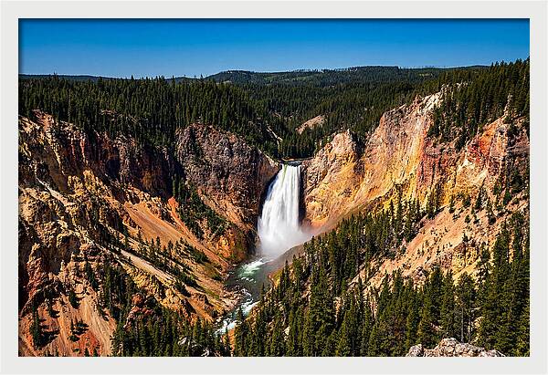 Majestic Yellowstone Lower Falls