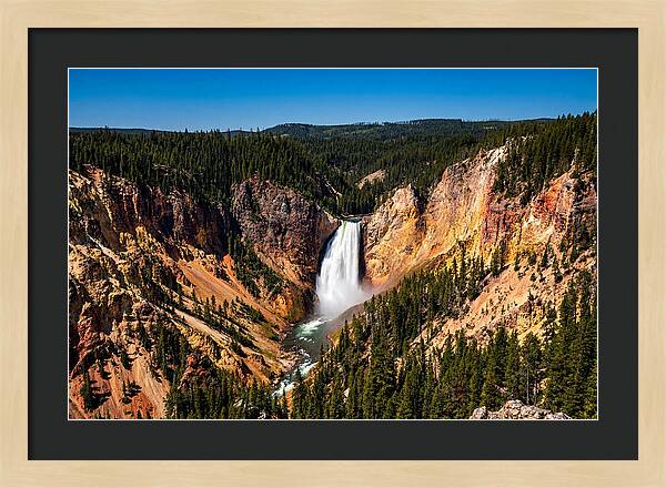 Majestic Yellowstone Lower Falls