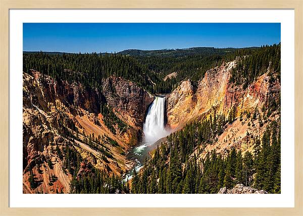 Majestic Yellowstone Lower Falls
