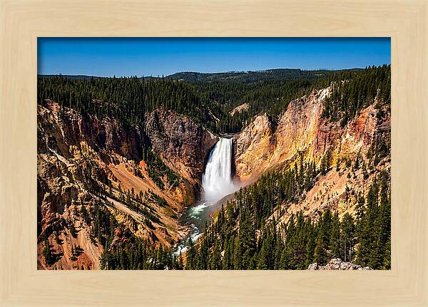 Majestic Yellowstone Lower Falls