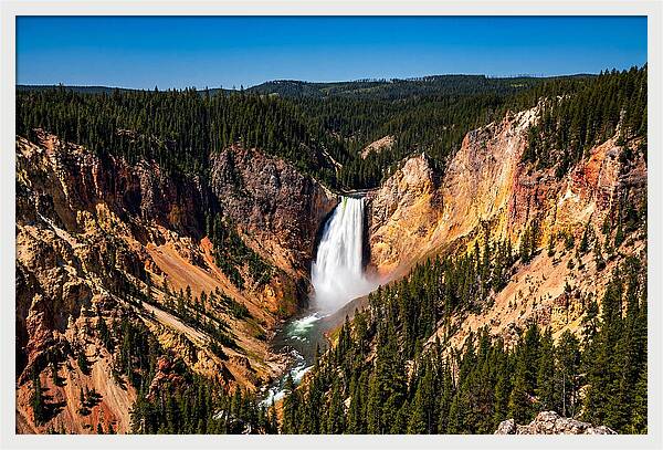 Majestic Yellowstone Lower Falls