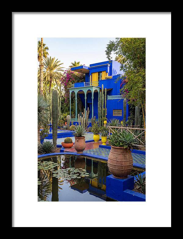 Majorelle Garden Serenity