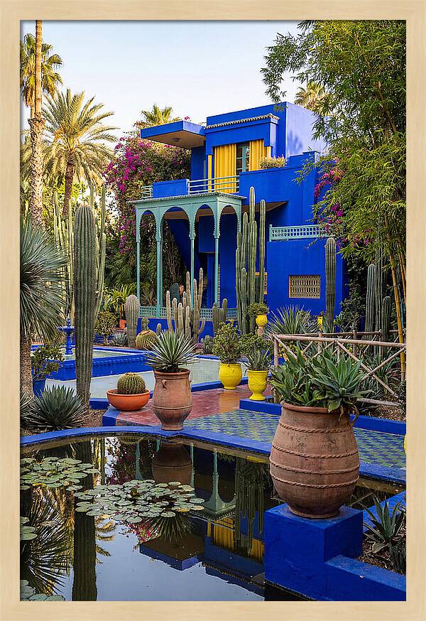 Majorelle Garden Serenity